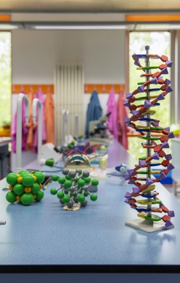 A bright science lab with colourful lab coats hanging by the windows, a tall DNA model standing proudly on the bench, and lots of molecule models ready for some hands-on experiments and creative discovery A bright science lab with colourful lab coats hanging by the windows, a tall DNA model standing proudly on the bench, and lots of molecule models ready for some hands-on experiments and creative discovery